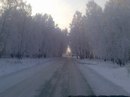 Фотография Козлова Елена