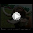 Ігор Федорчук фотография #25 (источник - https://vk.com/id150659396)