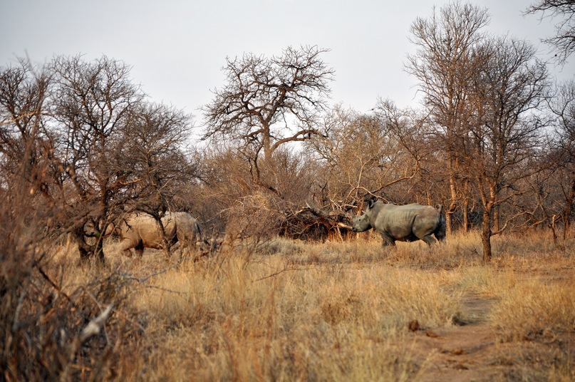 Иван Руденко фотография #35