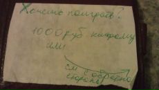 Сашка Радько фотография #25 (источник - https://vk.com/id239253)