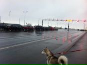 Криста Кул фотография #43 (источник - https://vk.com/id1845295)