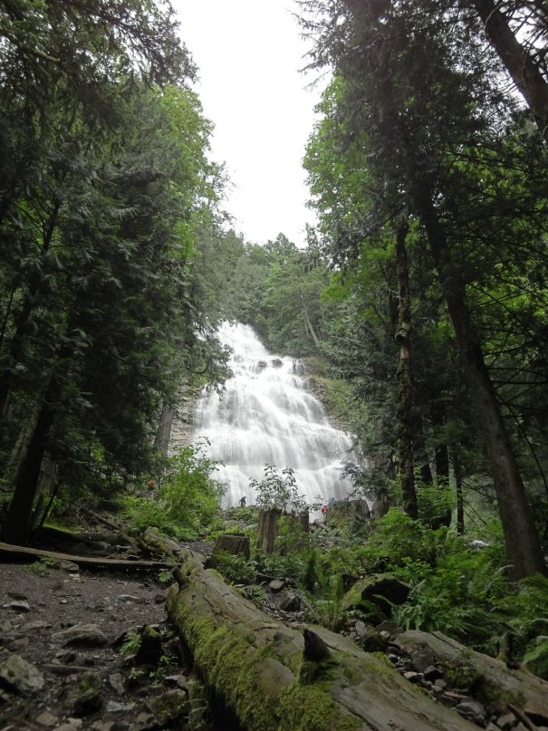 Сергей Батуев фотография #45