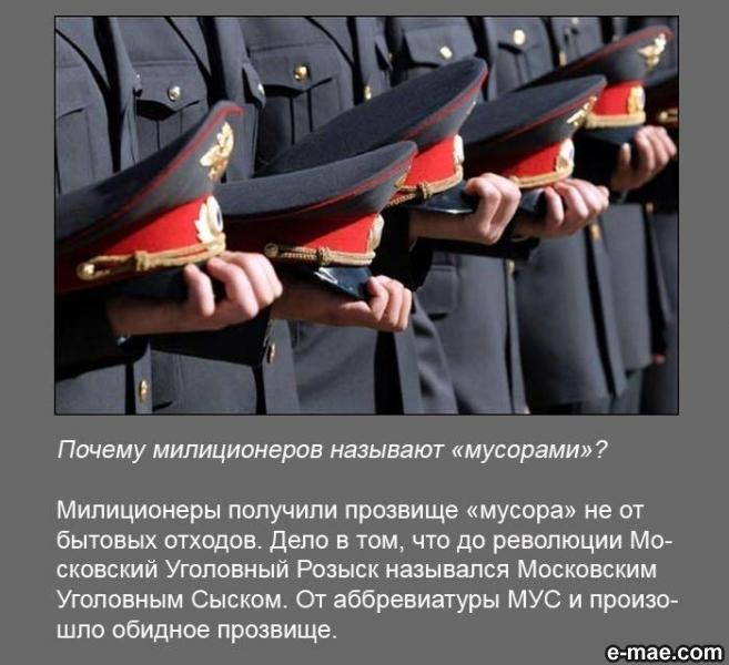 Дмитрий Галушков фотография #8