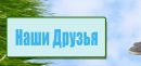 Дмитрий Мирошник фотография #13 (источник - https://vk.com/id69359162)