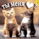 Максім Кліоцко фотография #41 (источник - https://vk.com/id149322711)