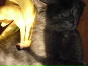 Фотография Федоровой Татьяны