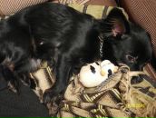 Фотография Куц Марии