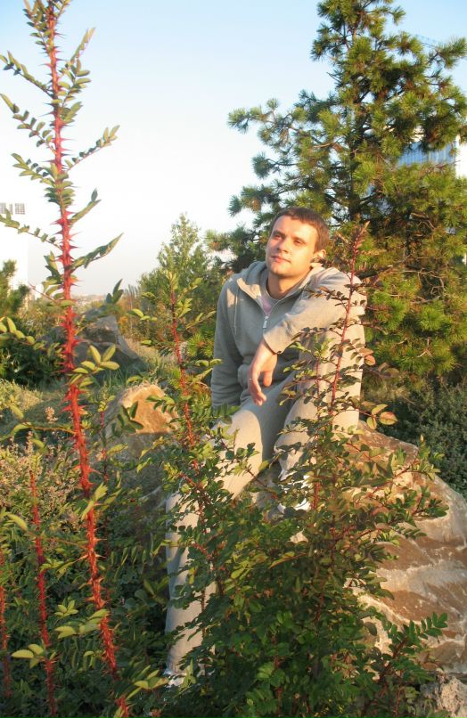 Denis Vik фотография #18