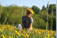 Фотография Иванов Алексей