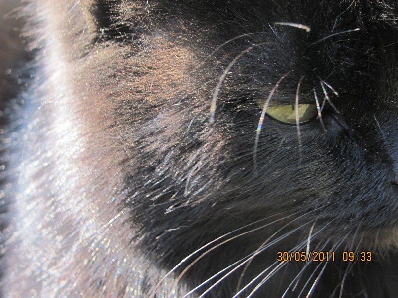 Ольга С фотография #36