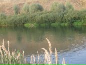 Рустем Лутфуллин фотография #29 (источник - https://vk.com/id8515565)