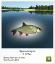 Віталій Пастрама фотография #42 (источник - https://vk.com/id34071171)