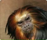 Фотография Калабушкиной Александры