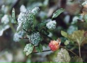 Фотография Карпенковой Марины