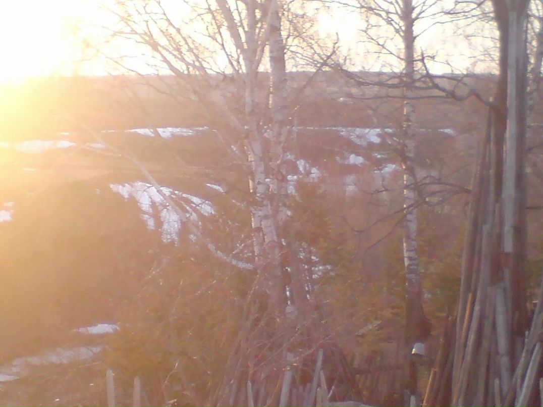 Денис Николаев фотография #14