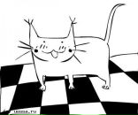 Володя Меч фотография #9 (источник - https://vk.com/id1390902)