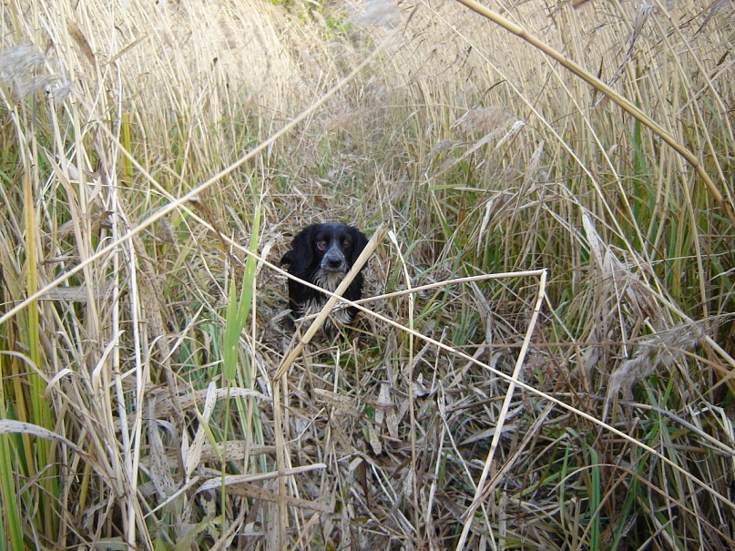 Игорь Донец фотография #49