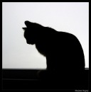 Фотография Михайловой Кристины