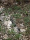 Βалерия Κоролева фотография #50 (источник - https://vk.com/id74411986)