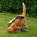 Сергій Гук фотография #15 (источник - https://vk.com/id74745766)