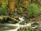 Андрій Тарасюк фотография #33 (источник - https://vk.com/id77022131)