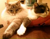 Фотография Тепляковой Ольги