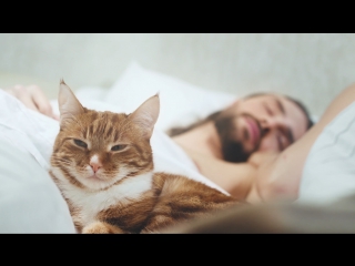 Ёлка - На коленке