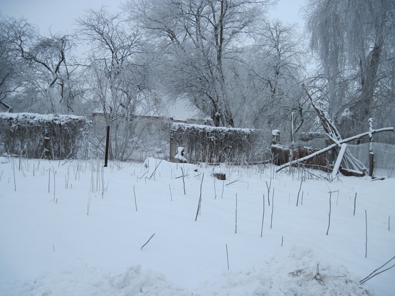 Руслан Мартыненко фотография #25