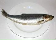 Фотография Белоивана Дмитрия