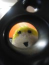 Flat Eric фотография #12 (источник - https://vk.com/id600282)