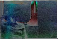 Фотография Ку Фил