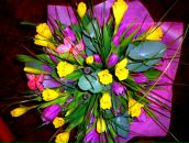 Фотография Iavorskii Sergei