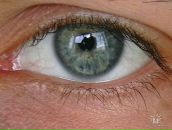 Фотография Baranov Anton