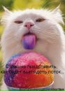 Фотография Странички Удаленнаи