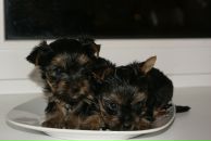 Фотография Сергеевы Юляшки