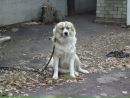 Фотография Лузан Татьяны