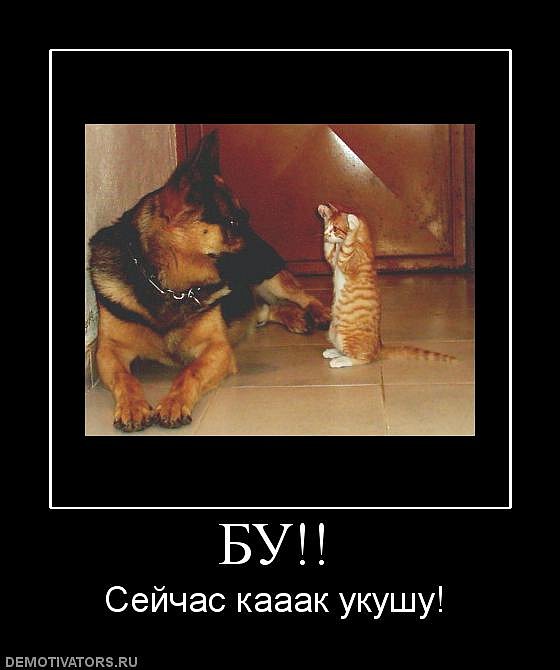 Иван Пташник фотография #32