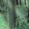 Діма Живко фотография #16 (источник - https://vk.com/id136159973)