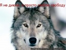 Андрій Костів фотография #5 (источник - https://vk.com/id122103693)