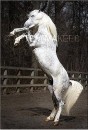 Оля Кіт фотография #39 (источник - https://vk.com/id161049647)