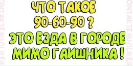 Антон Панічевський фотография #34 (источник - https://vk.com/id142718004)