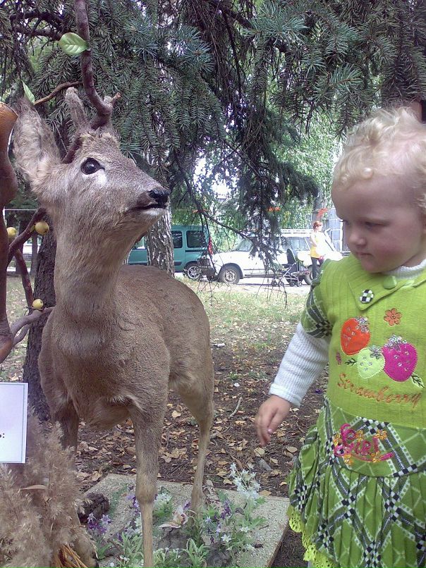 Надежда Рогова(пирогова) фотография #32