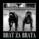 Андрій Ткач фотография #10 (источник - https://vk.com/id133966263)