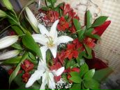 Фотография Ботоноговой Анастасии