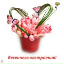 Фотография Былинкиной Ольги