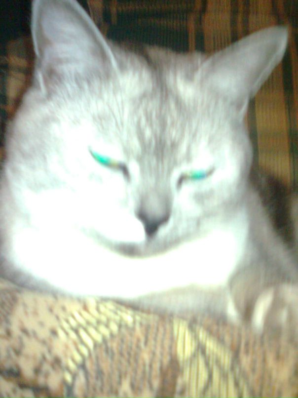 Илья Солонин фотография #33