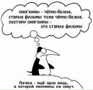 Фотография Михеева Антона