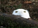 Фотография Гавриловой Евгении