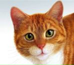 Фотография Андреевой Анны