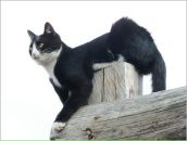 Фотография Калагаева Сергея